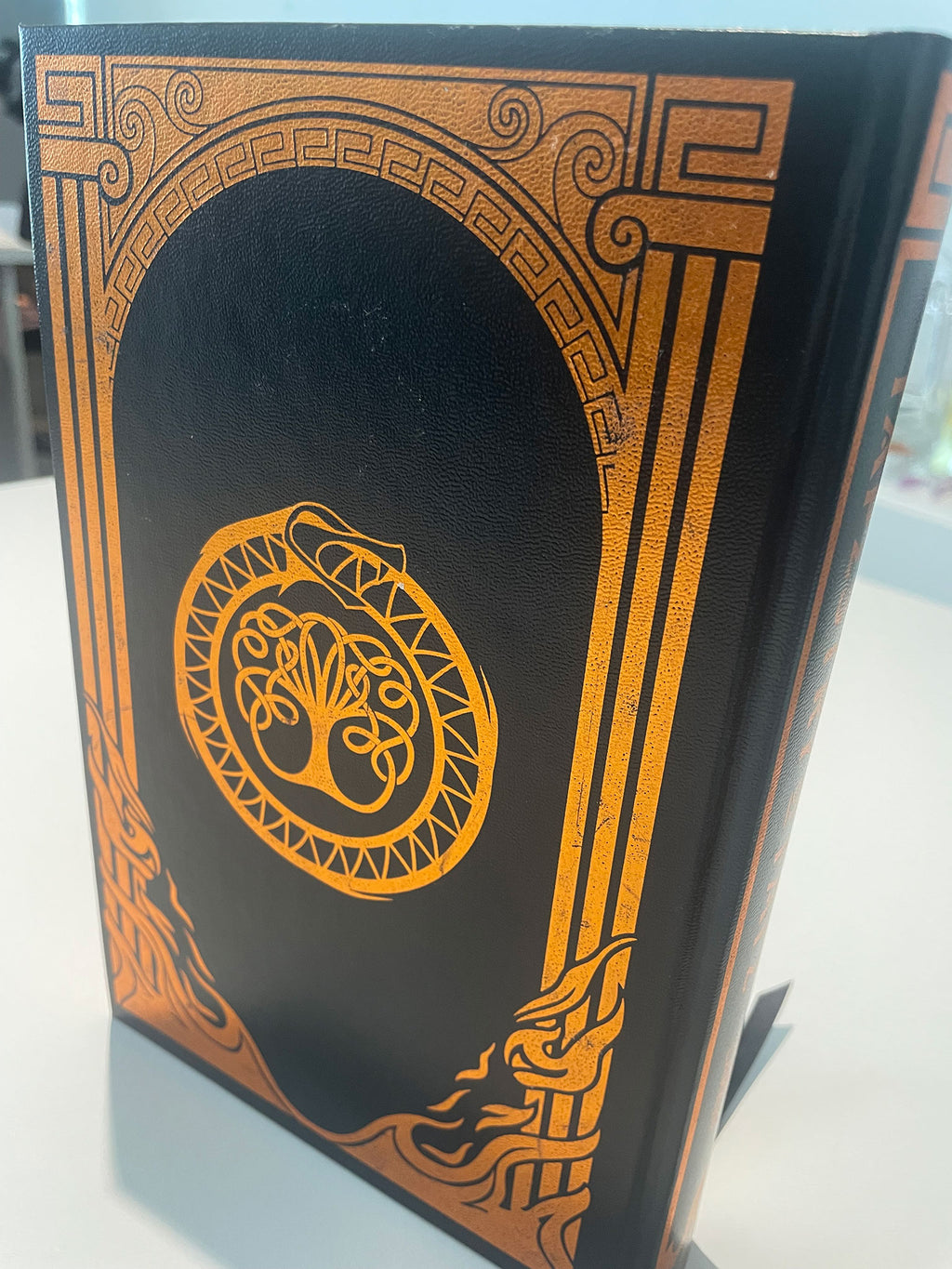 Tapestry of Fate 1 Deluxe back cover