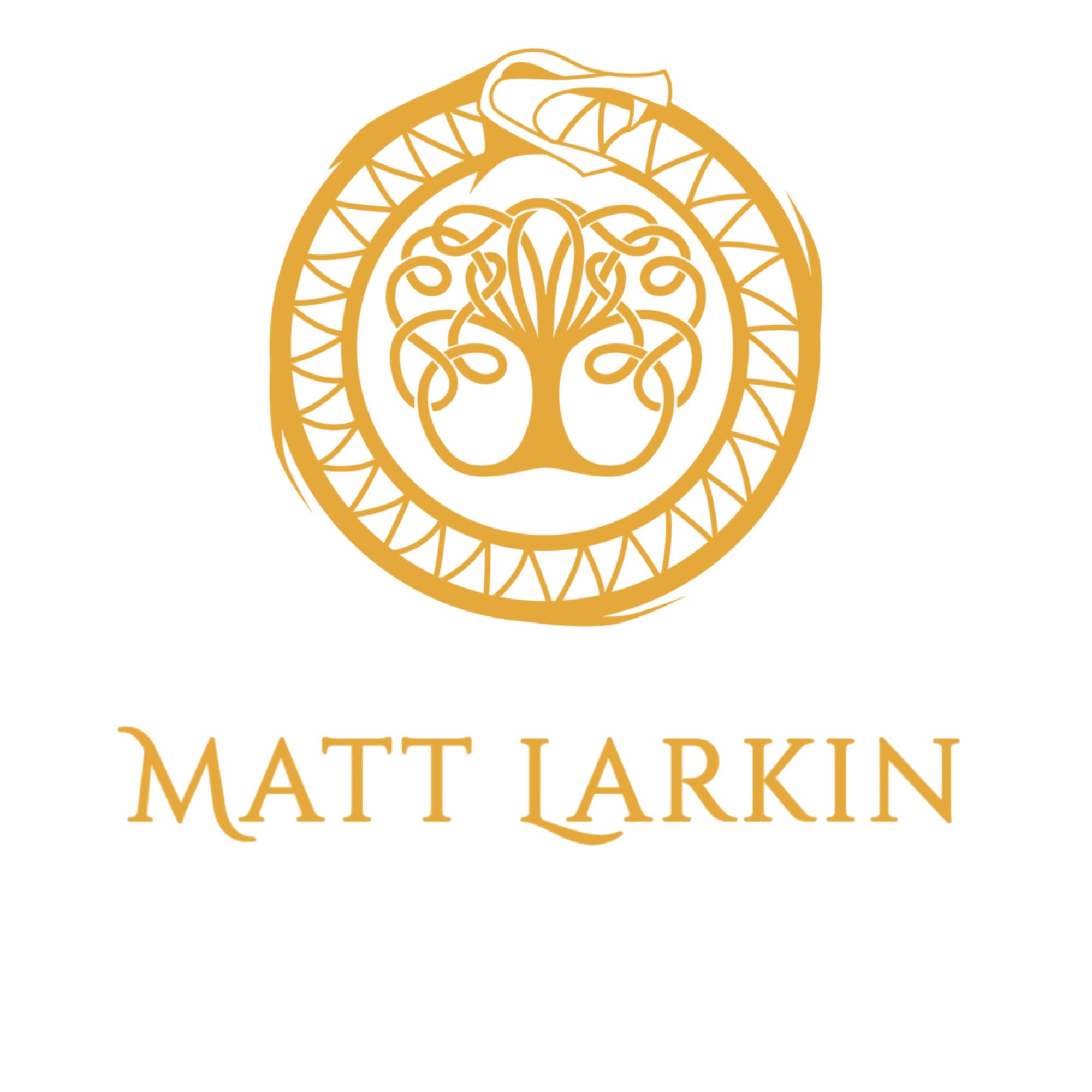 Matt Larkin Books